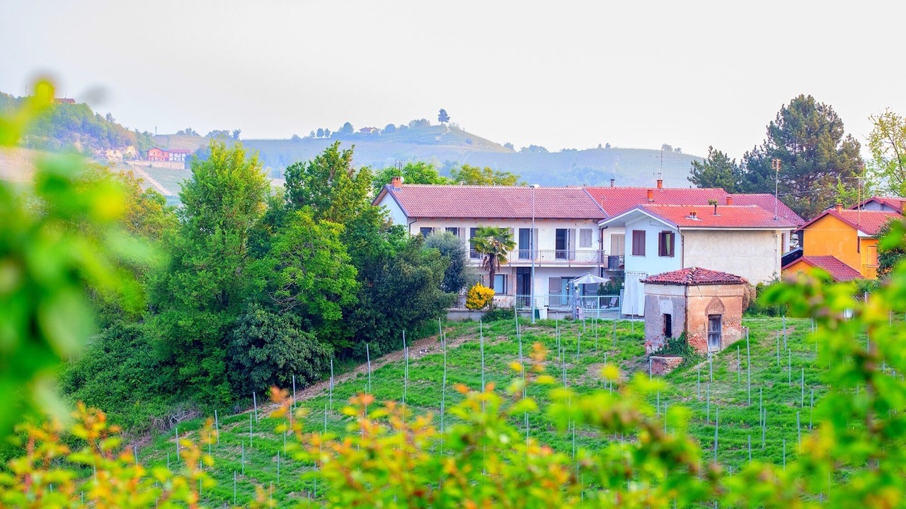 Photo of Outdoor in Monteu Roero