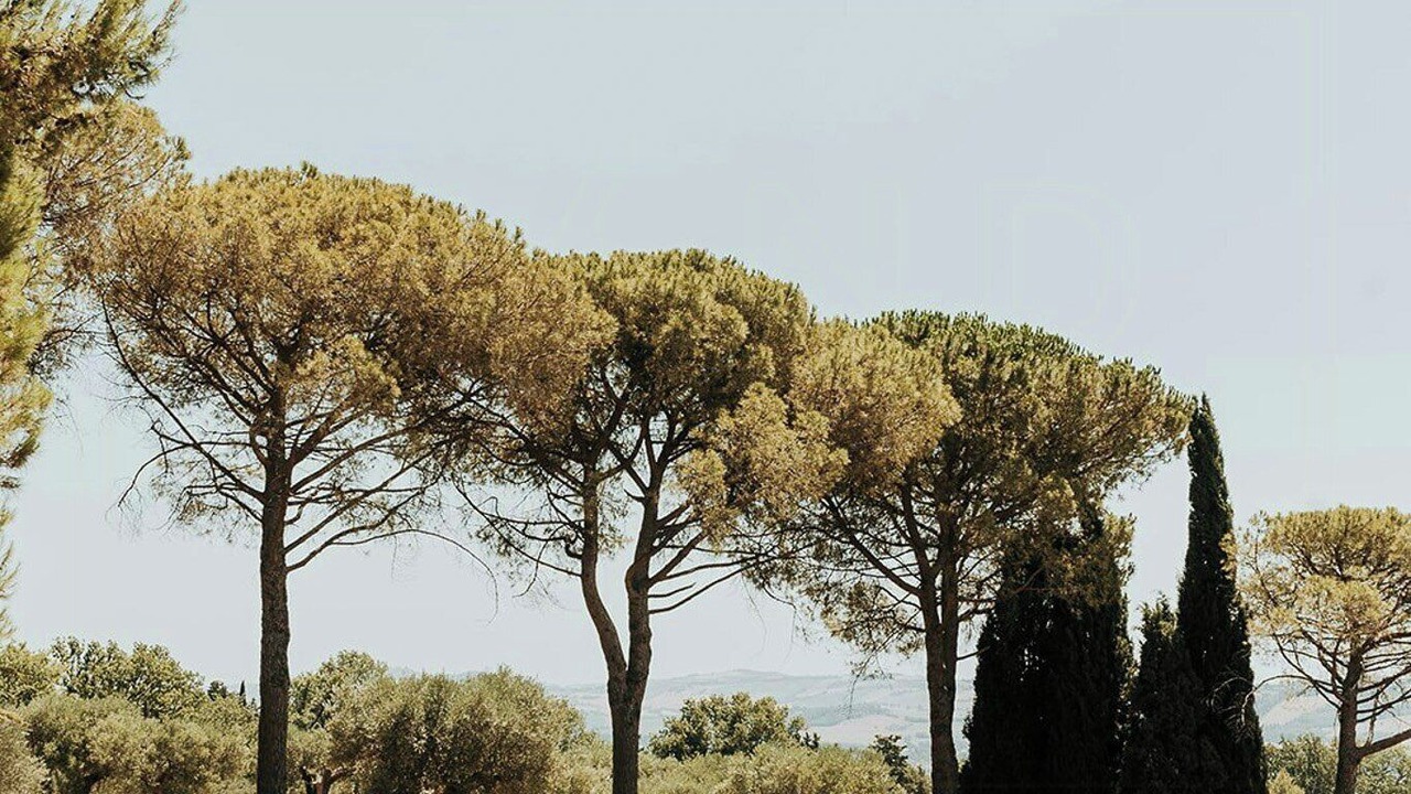 Photo of Outdoor in Montecassiano