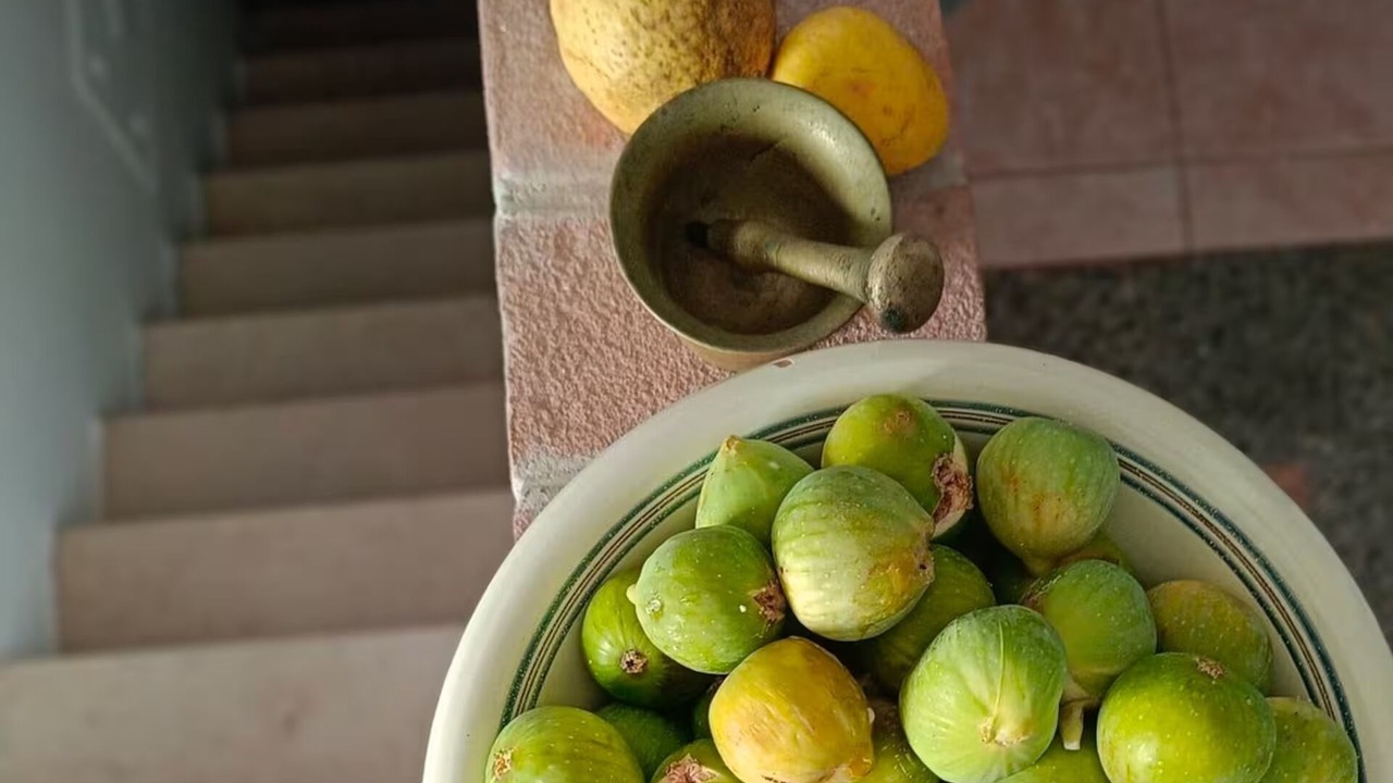Photo of Others in Bernalda