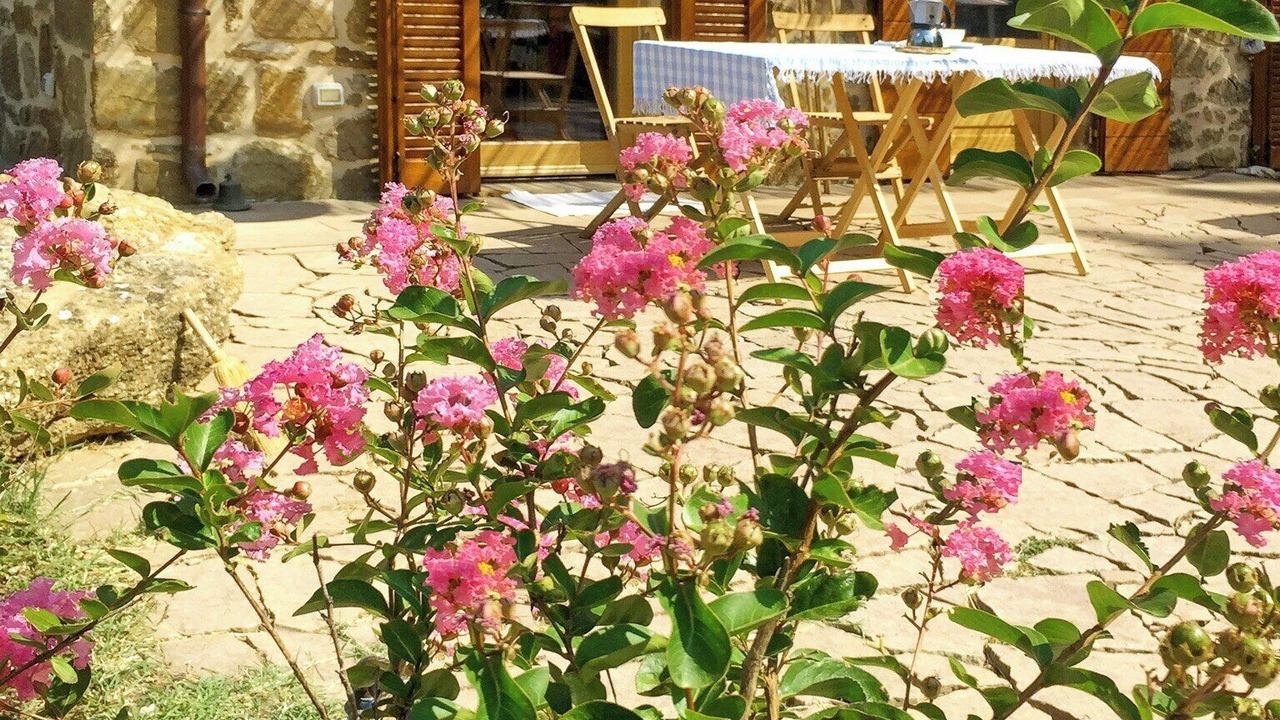 Photo of Outdoor in Montebuono