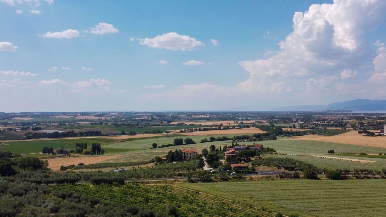 Photo of Others in Panicale