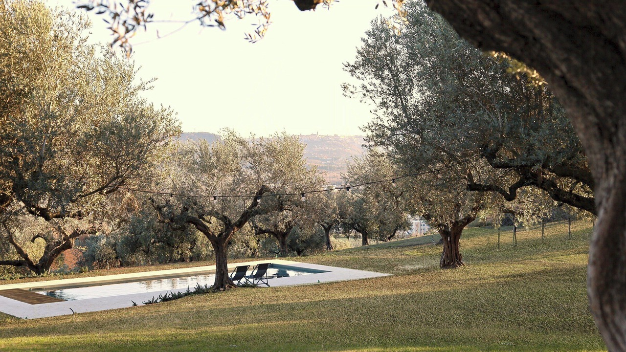 Photo of Outdoor in Spoltore