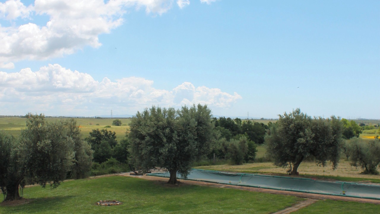 Photo of Outdoor in Montalto di Castro