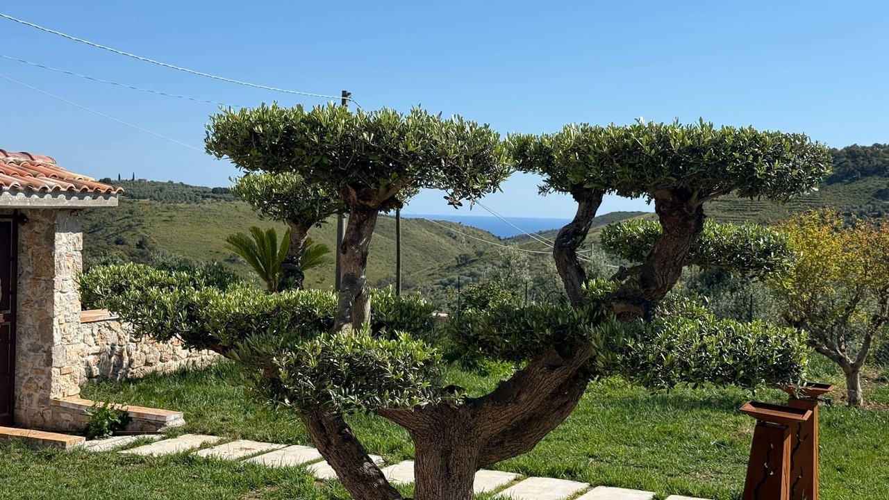 Photo of Outdoor in Itri