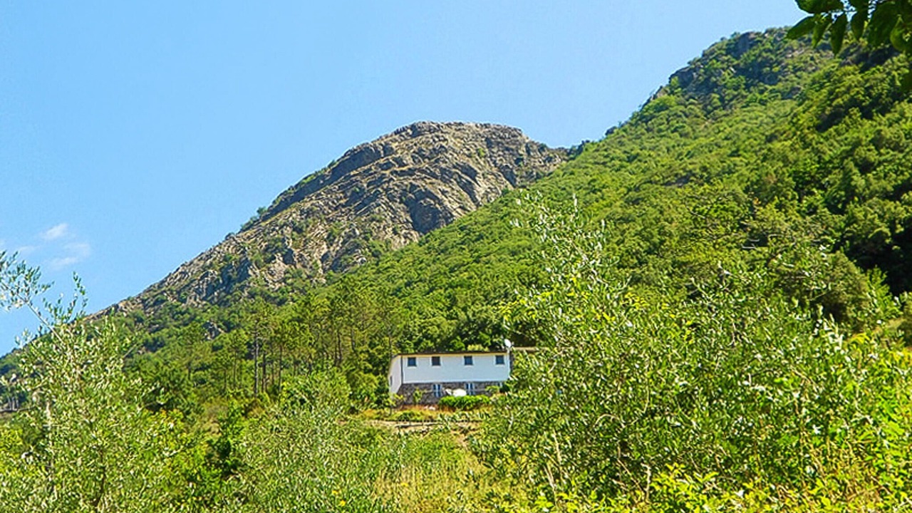 Photo of Others in Casarza Ligure