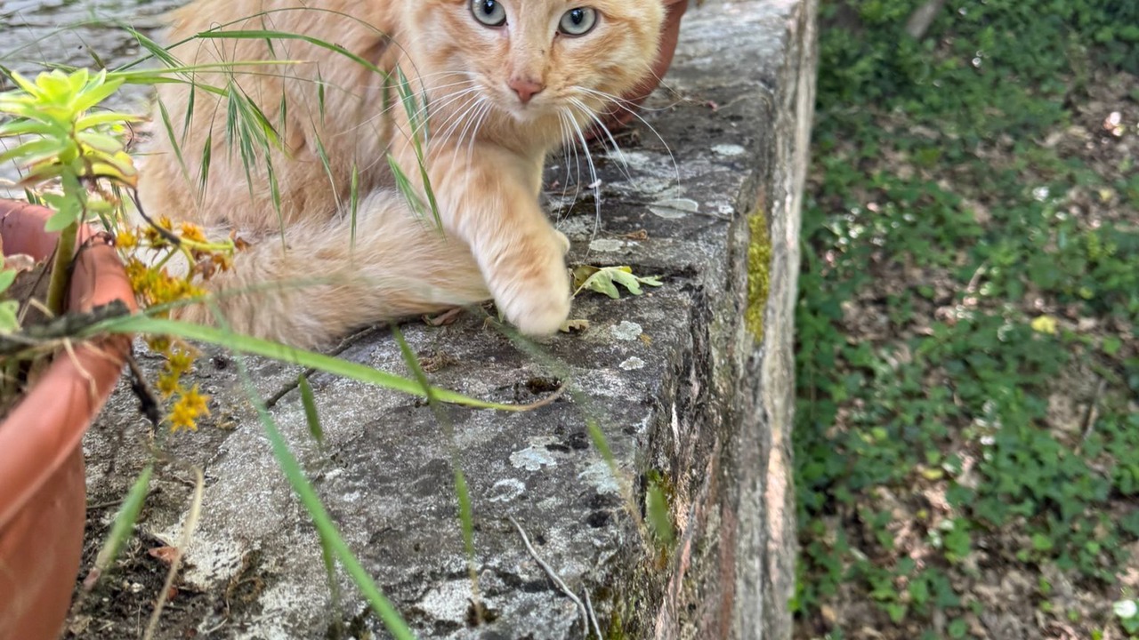 Photo of Outdoor in Vinchiaturo