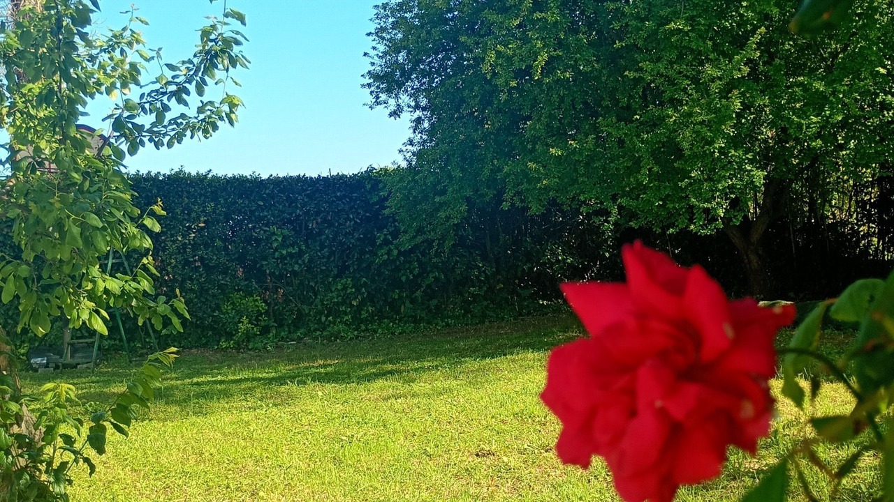 Photo of Outdoor in Loreto