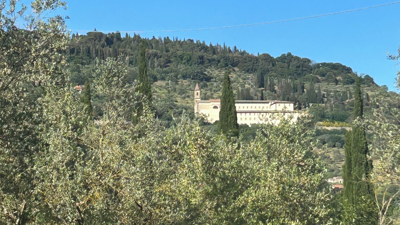 Photo of Outdoor in Camucia
