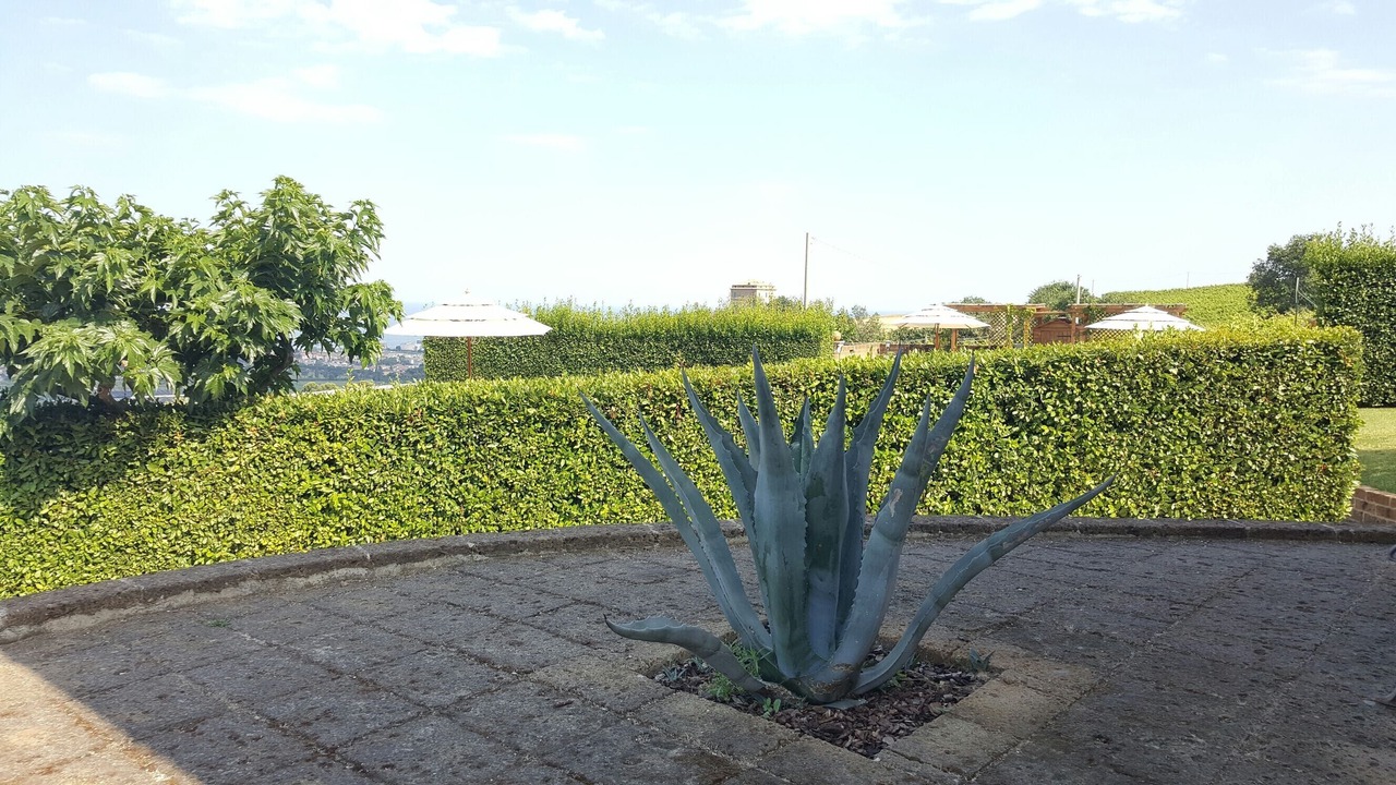 Photo of Outdoor in Martinsicuro