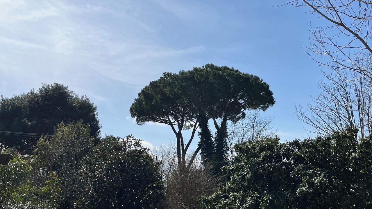 Photo of Outdoor in Grosseto