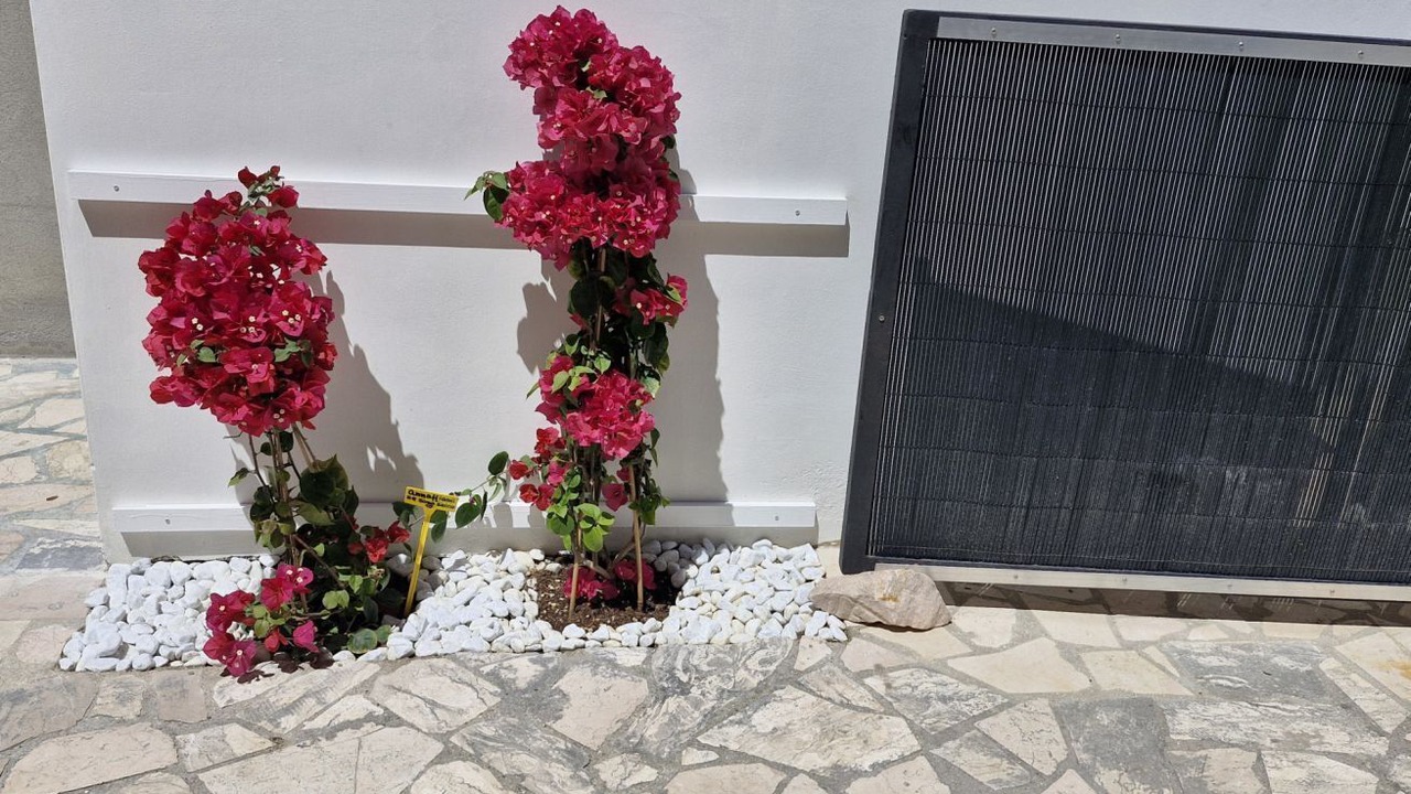 Photo of Outdoor in Senigallia