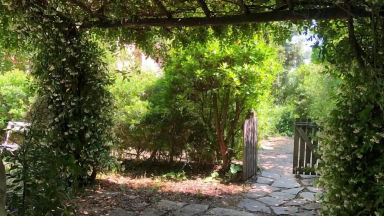 Photo of Outdoor in Montelaguardia