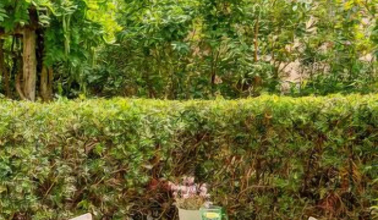 Photo of Outdoor in Montelaguardia