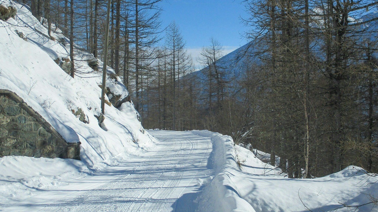 Photo of Others in Ala di Stura