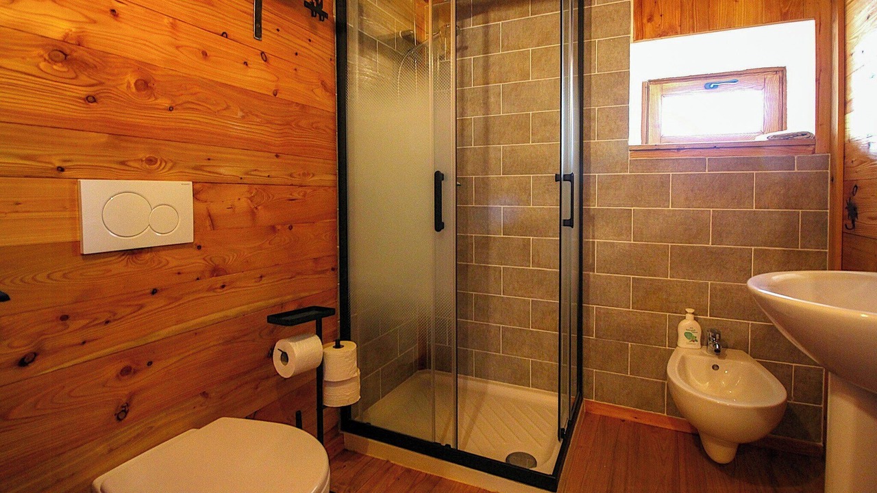 Photo of Bathroom in Ala di Stura