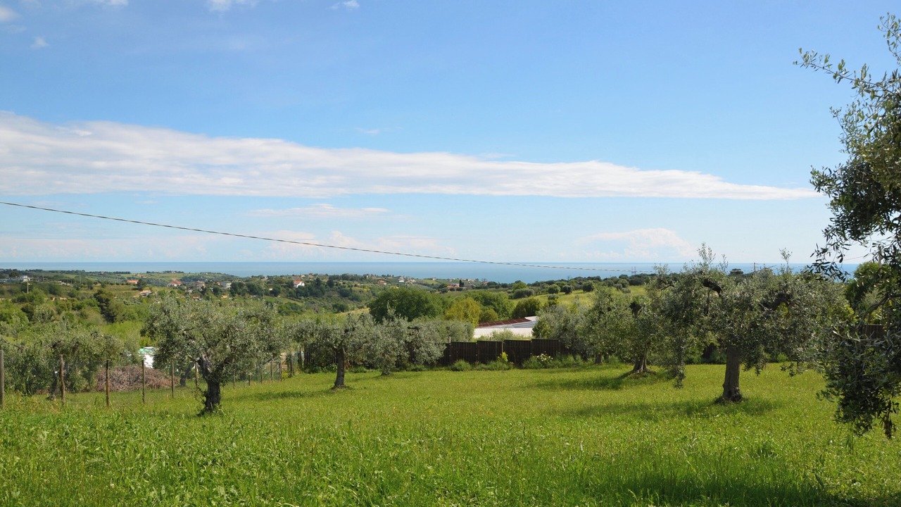 Photo of Others in Cupra Marittima
