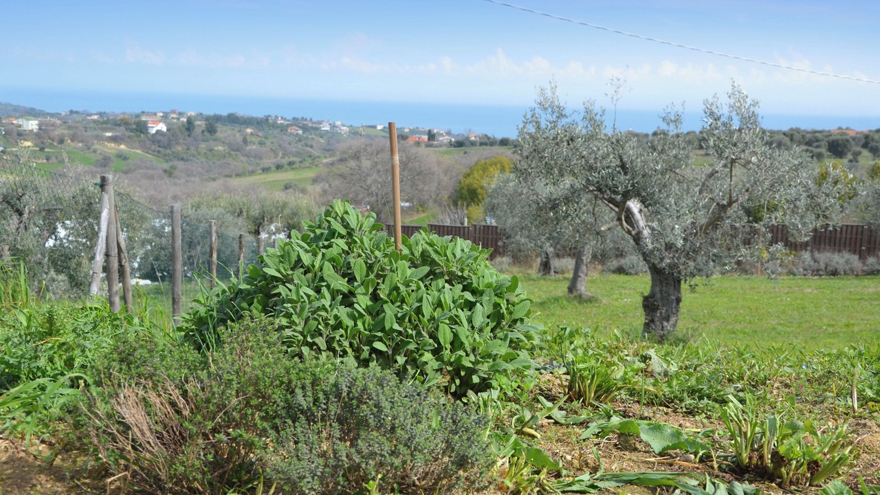 Photo of Outdoor in Cupra Marittima