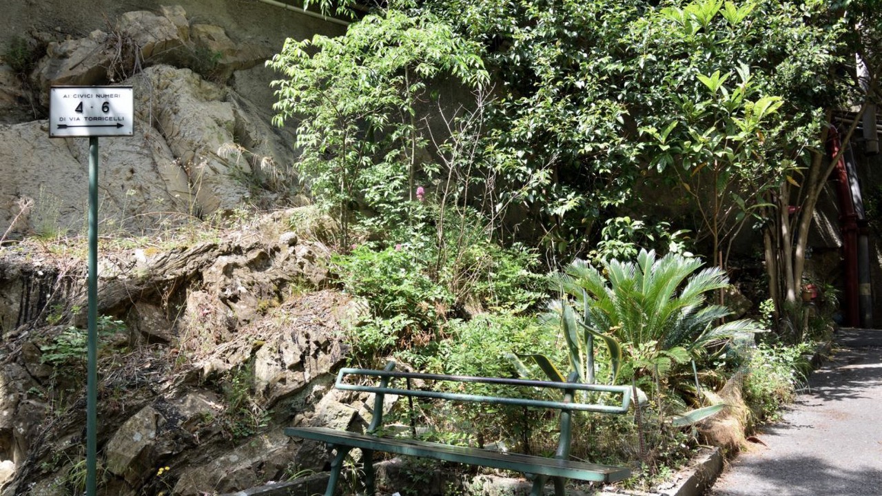 Photo of Outdoor in Borgoratti