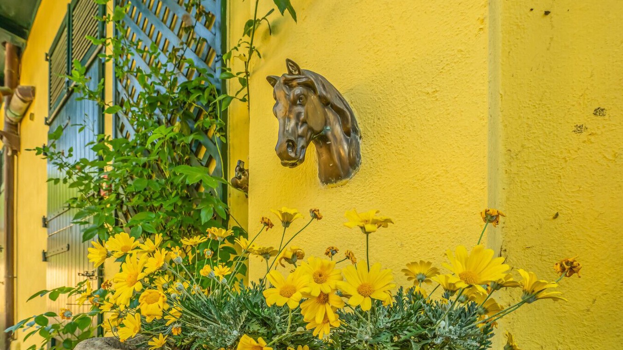 Photo of Outdoor in Masserano