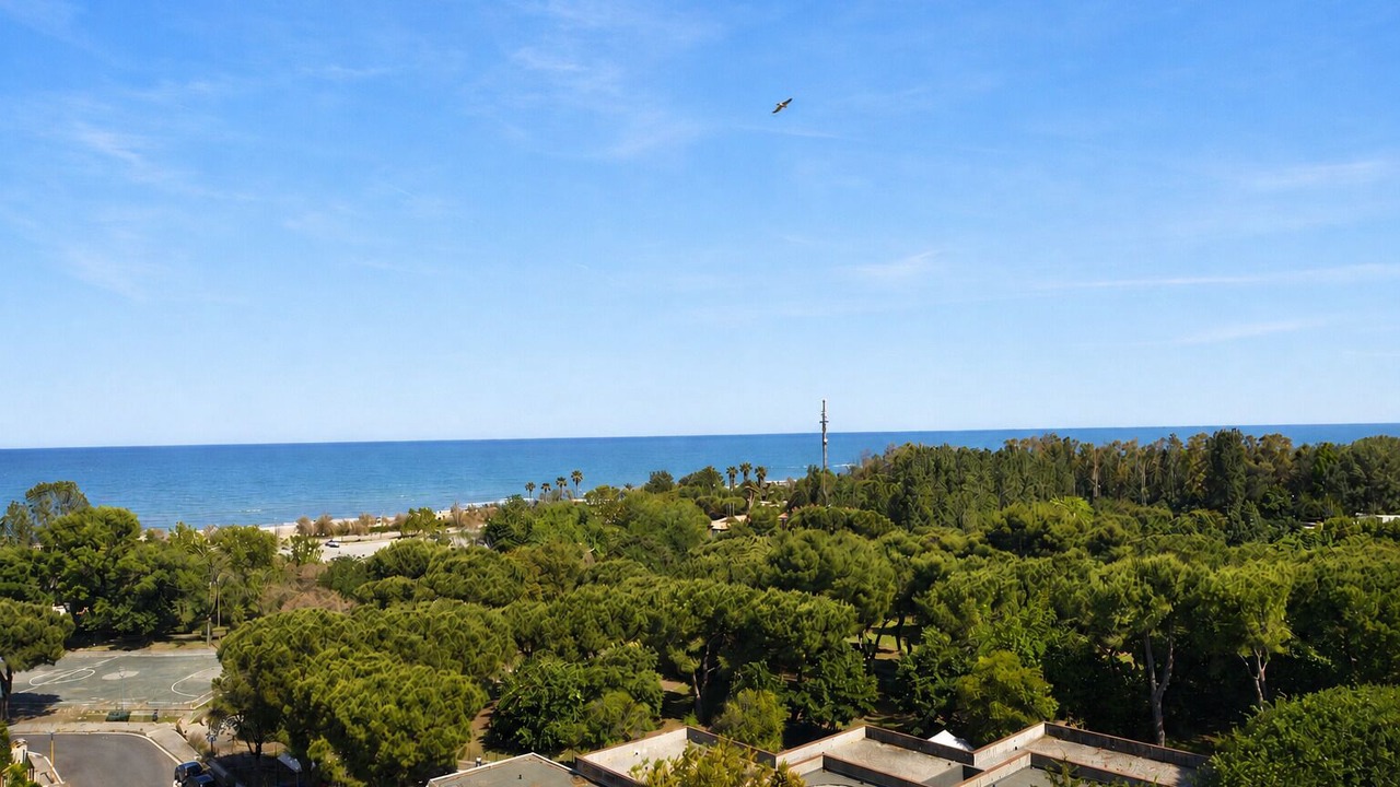 Photo of Others in Giulianova