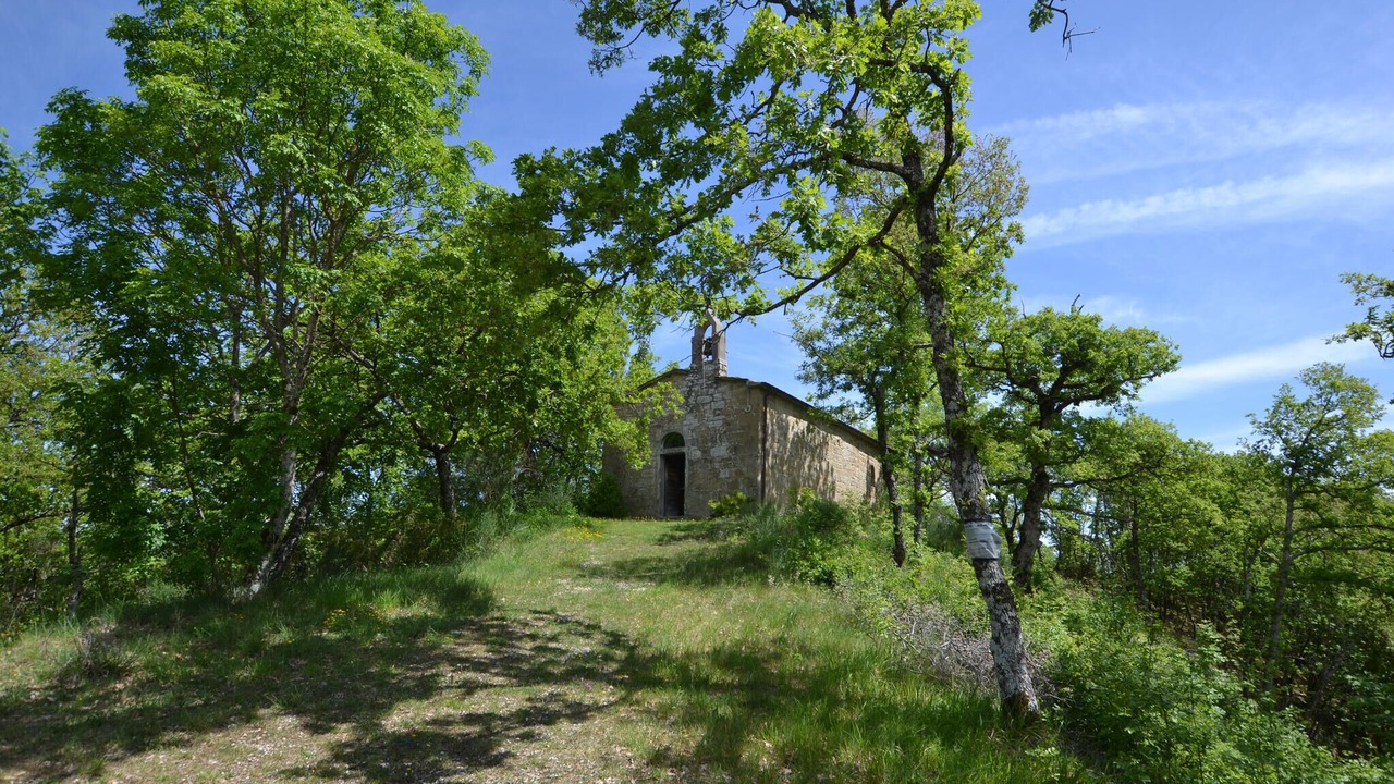 Photo of Others in Anghiari