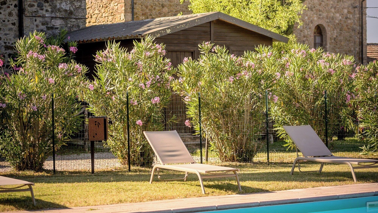 Photo of Outdoor in Massa Marittima