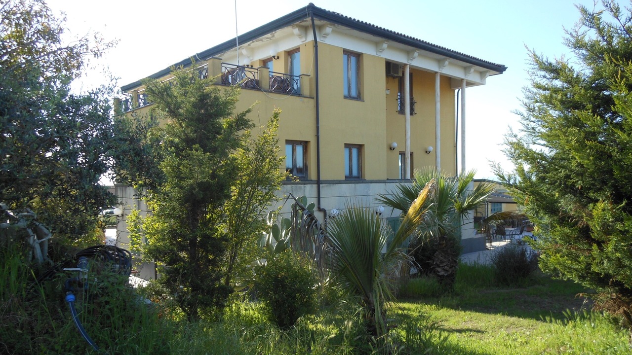 Photo of Outdoor in Licola