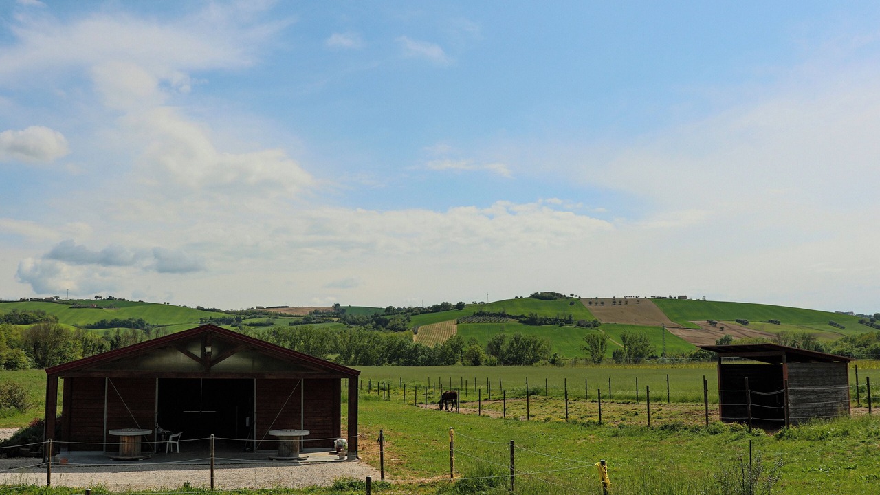 Photo of Outdoor in Montegranaro