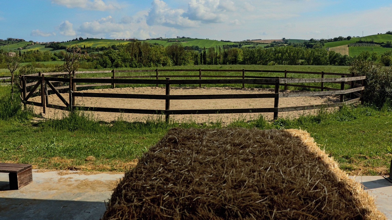 Photo of Outdoor in Montegranaro