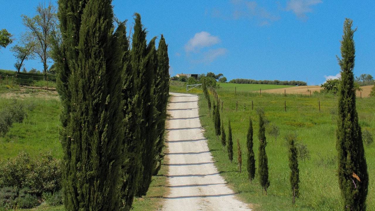 Photo of Others in Montegranaro