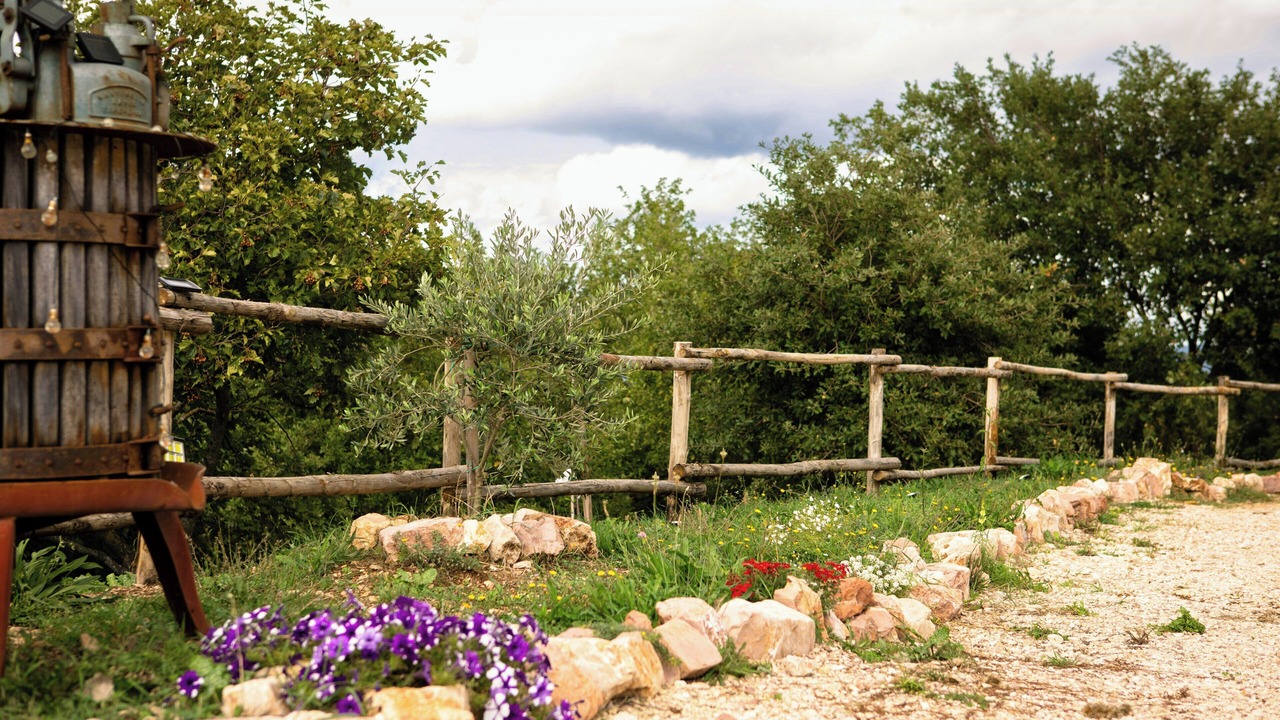 Photo of Outdoor in San Terenziano