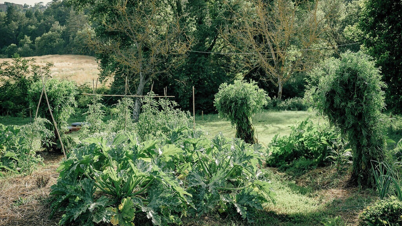 Photo of Outdoor in San Venanzo