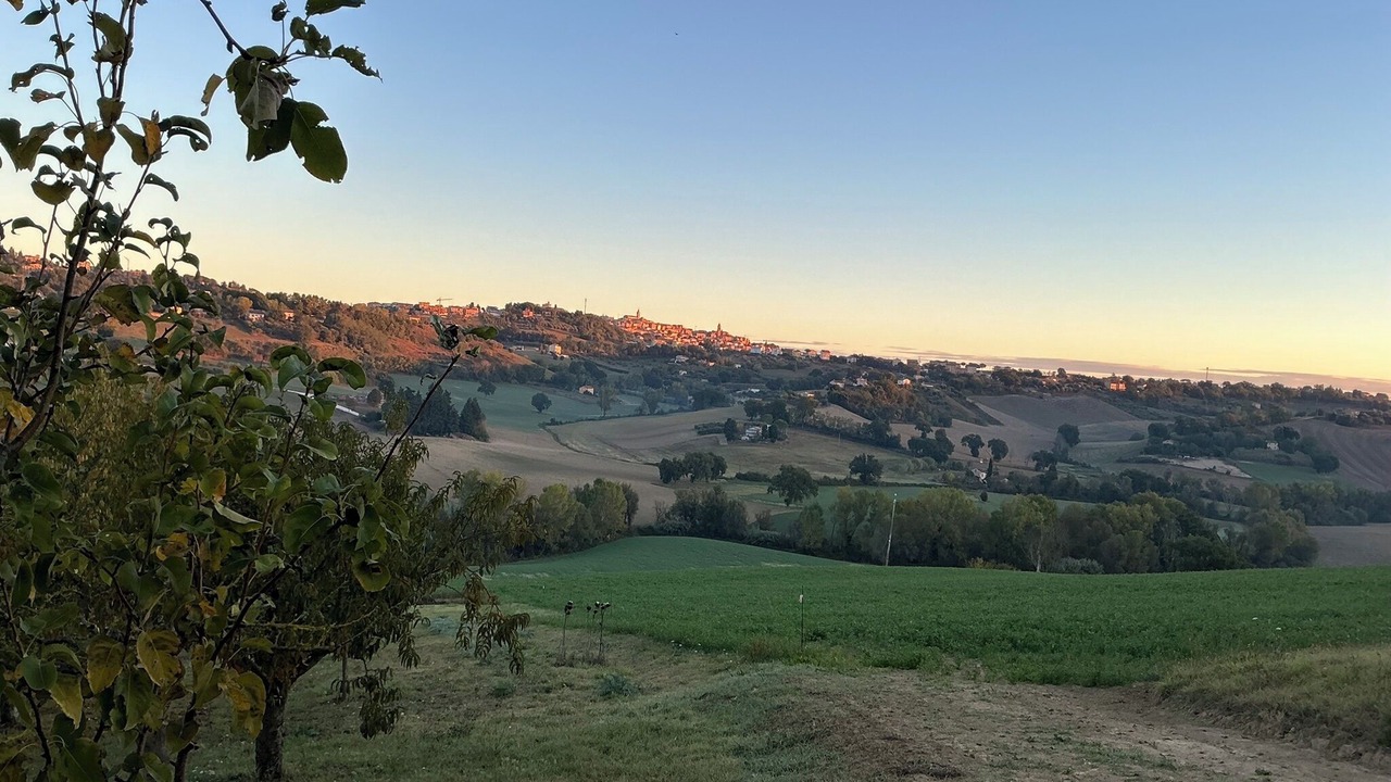 Photo of Others in Corridonia