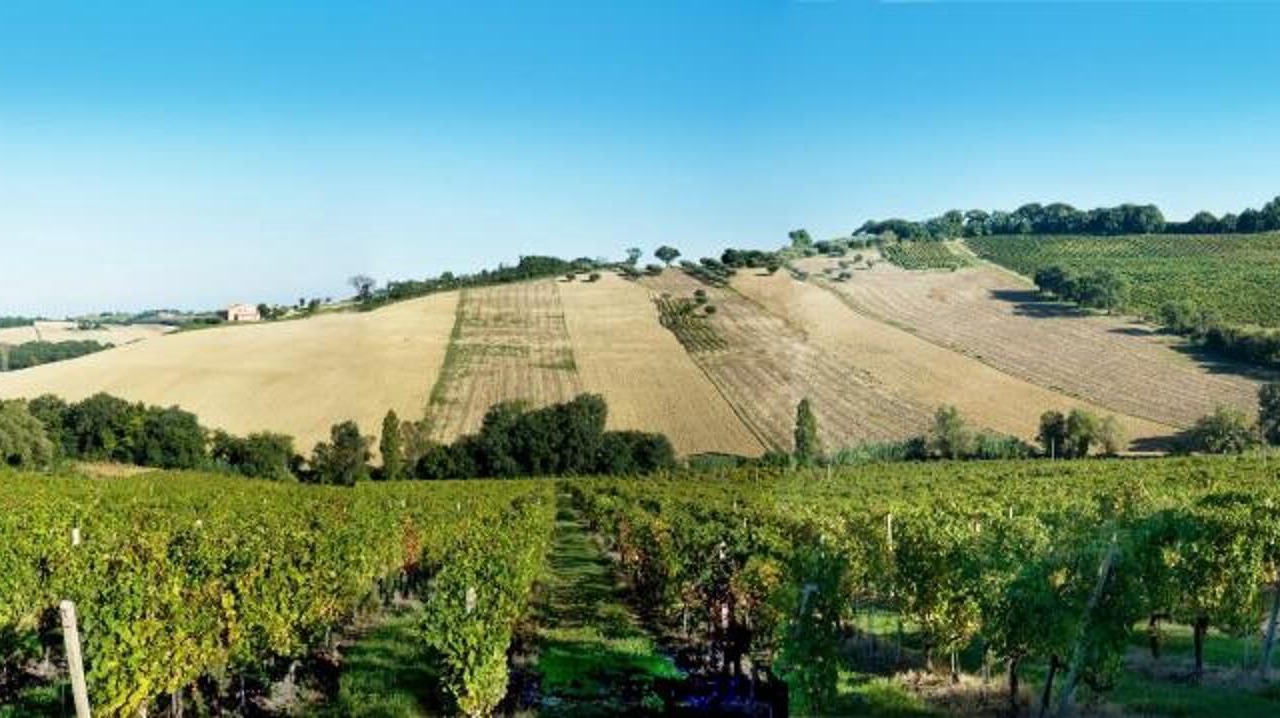 Photo of Outdoor in Morro d'Alba