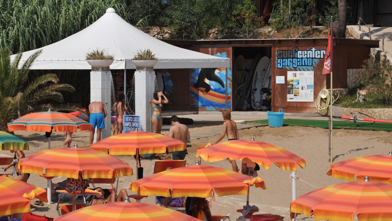 Photo of Others in Defensola