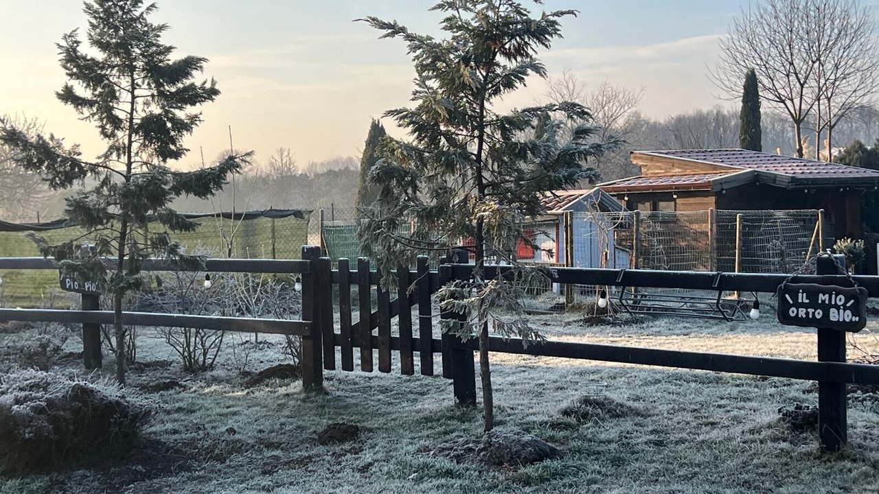 Photo of Outdoor in Veruno