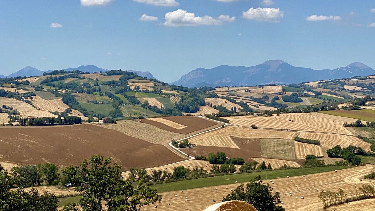 Photo of Others in Mondavio