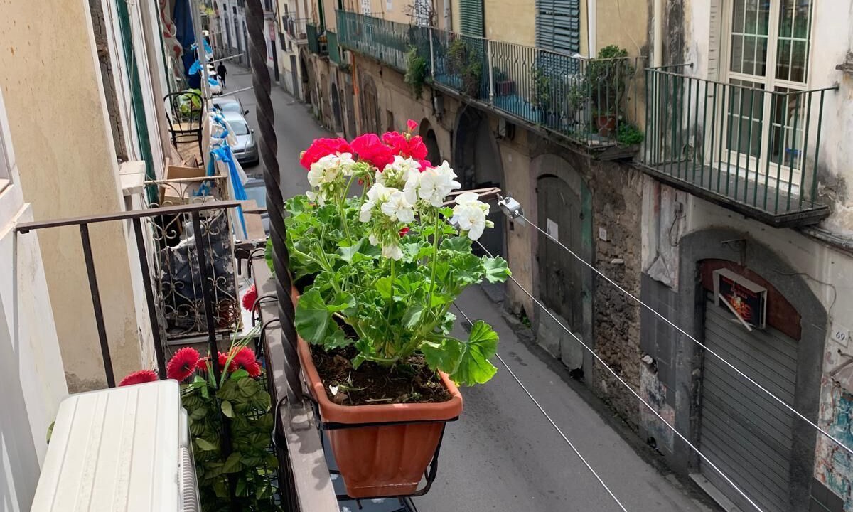 Photo of Outdoor in Sarno