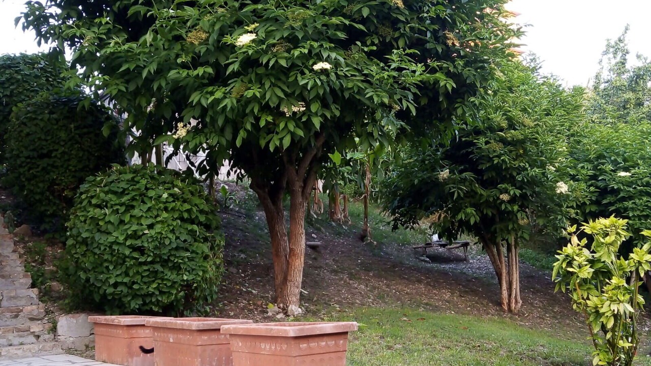 Photo of Outdoor in Porto Recanati