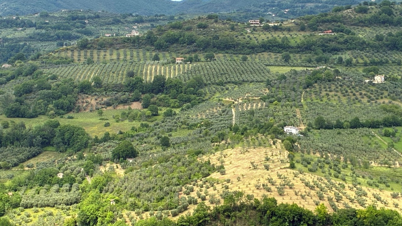 Photo of Others in Castelnuovo di Farfa