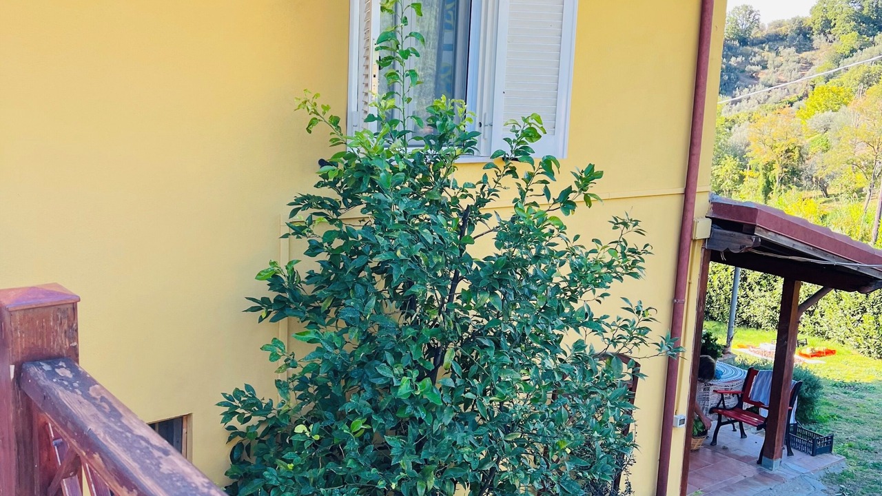 Photo of Outdoor in Castelnuovo di Farfa