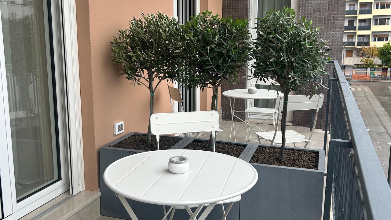 Photo of Outdoor in Pineta