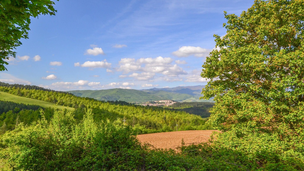 Photo of Others in Raggiolo