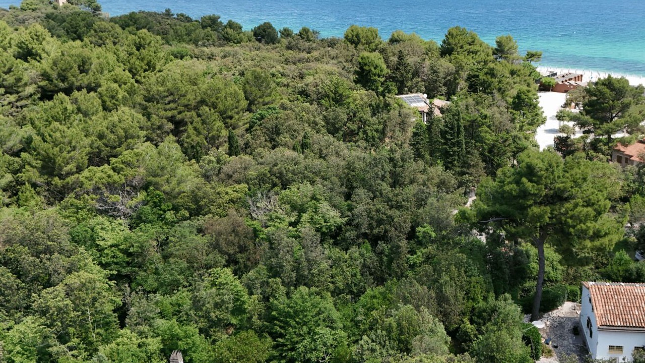 Photo of Outdoor in Portonovo