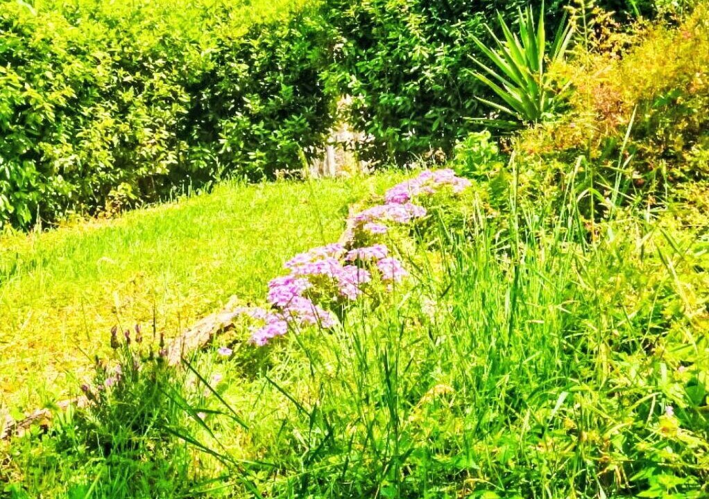 Photo of Outdoor in Massa Marittima