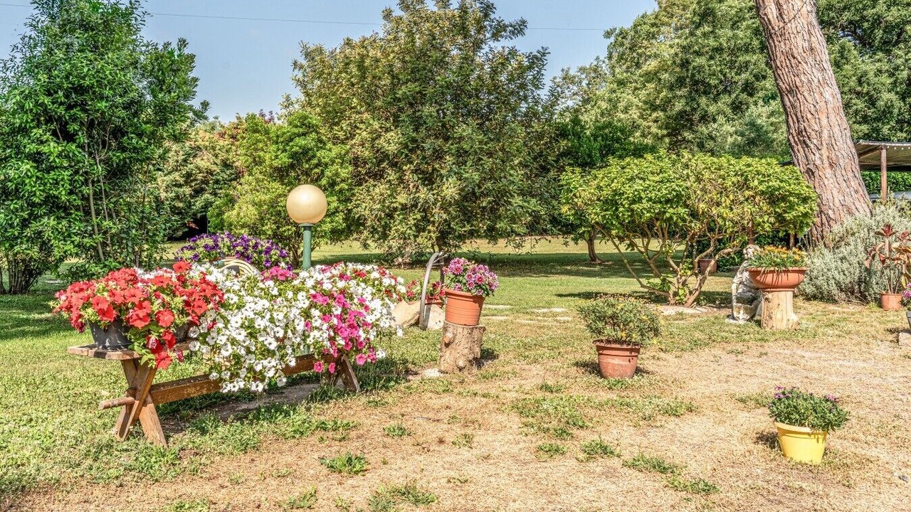 Photo of Others in Grosseto