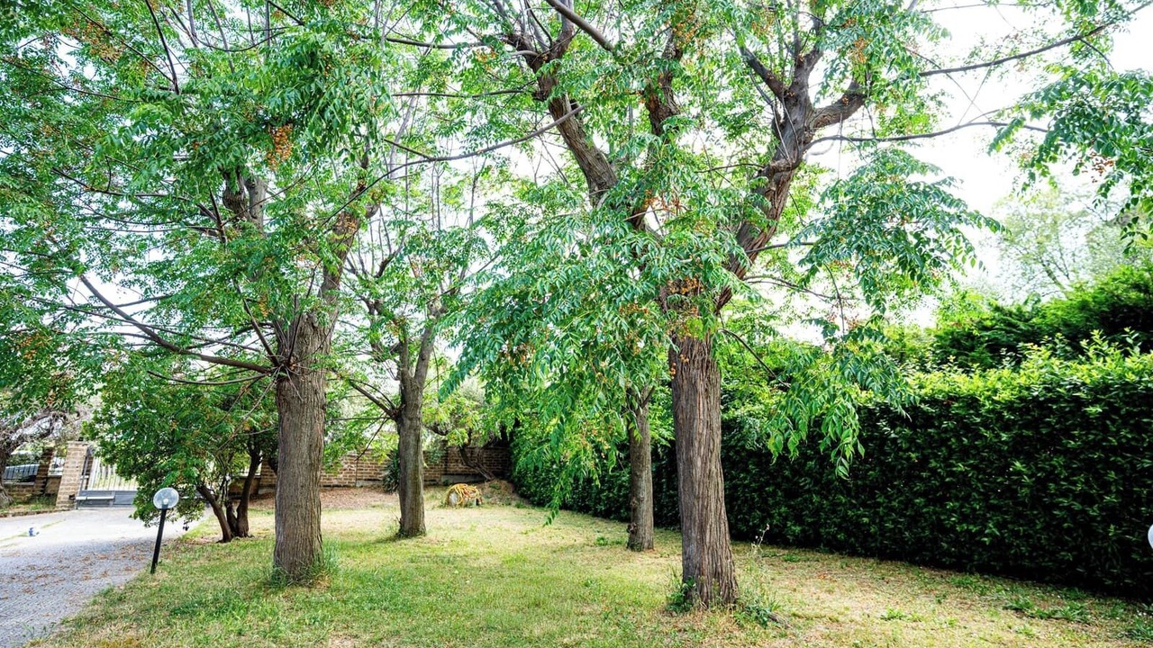 Photo of Outdoor in Francavilla al Mare