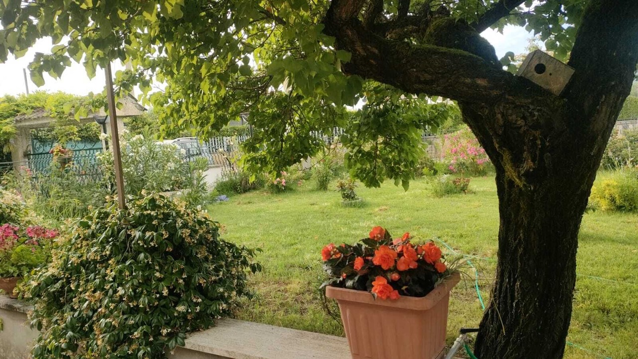 Photo of Outdoor in Alatri