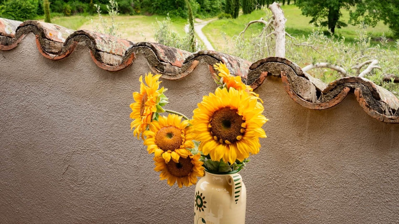 Photo of Outdoor in Cortona