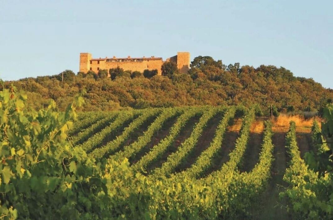 Photo of Others in Monte Vibiano Vecchio